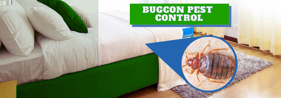 Bugcon Pest Control