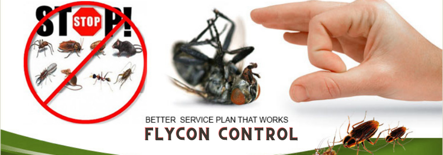 Fly Control